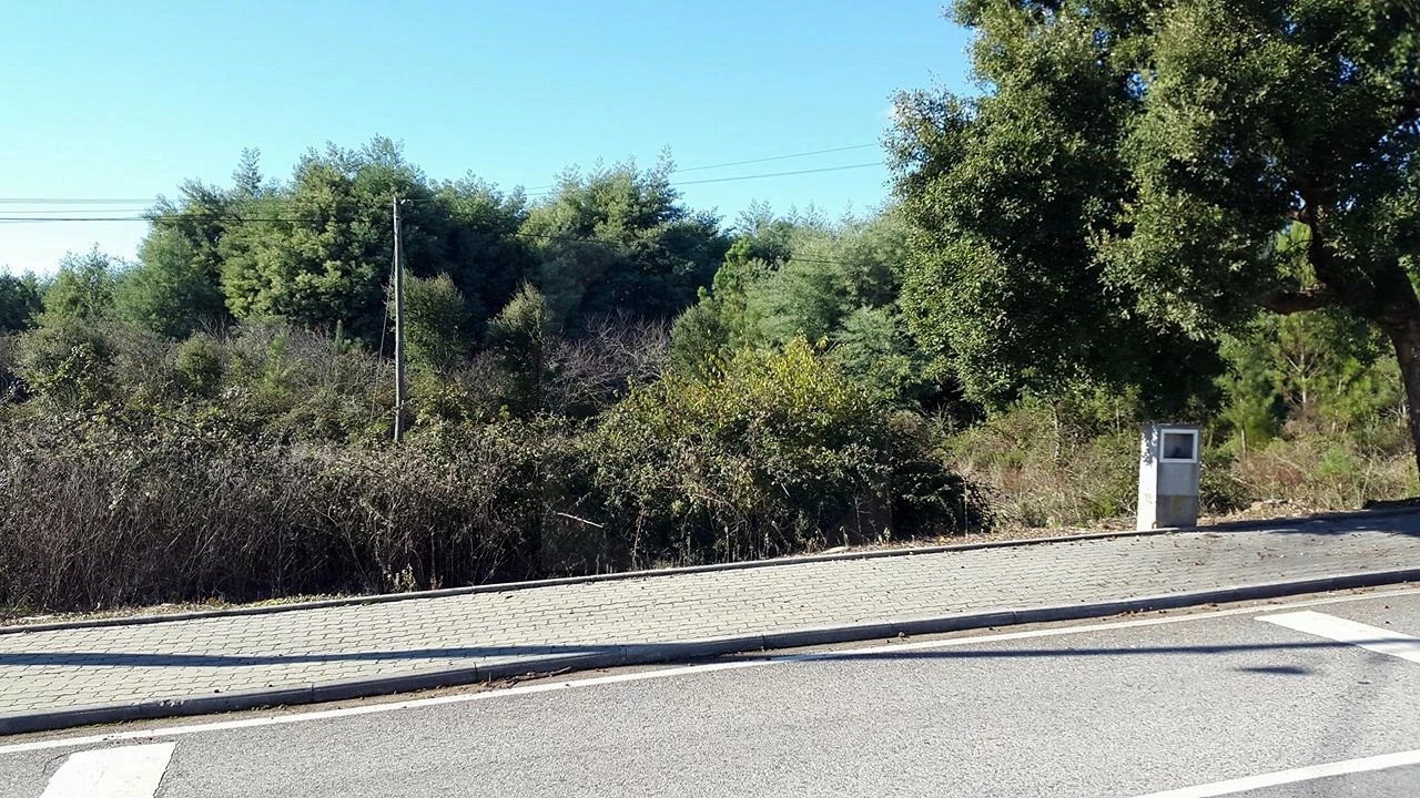 Terreno para Venda em Sardoal Foto 1