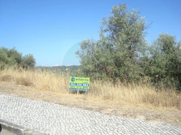 Terreno para Venda em Abrantes (São Vicente e São João) e Alferrarede