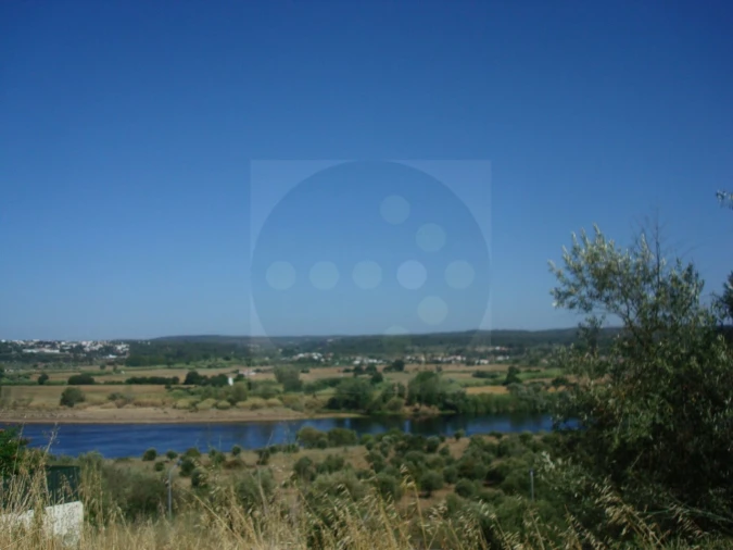 Terreno para Venda em Abrantes (São Vicente e São João) e Alferrarede Foto 2