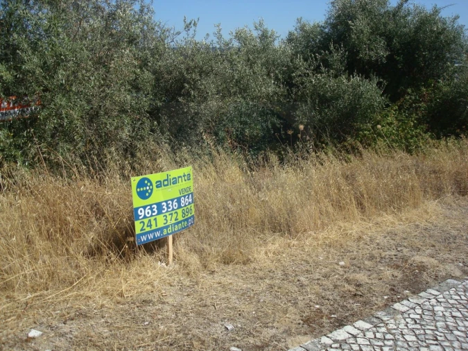 Terreno para Venda em Abrantes (São Vicente e São João) e Alferrarede Foto 3
