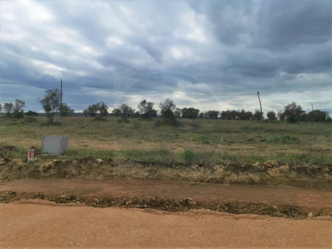 Terreno para Venda em Montalvo Foto 2