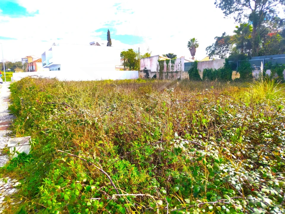 Terreno para Venda em Nossa Senhora do Pópulo, Coto e São Gregório Foto 3
