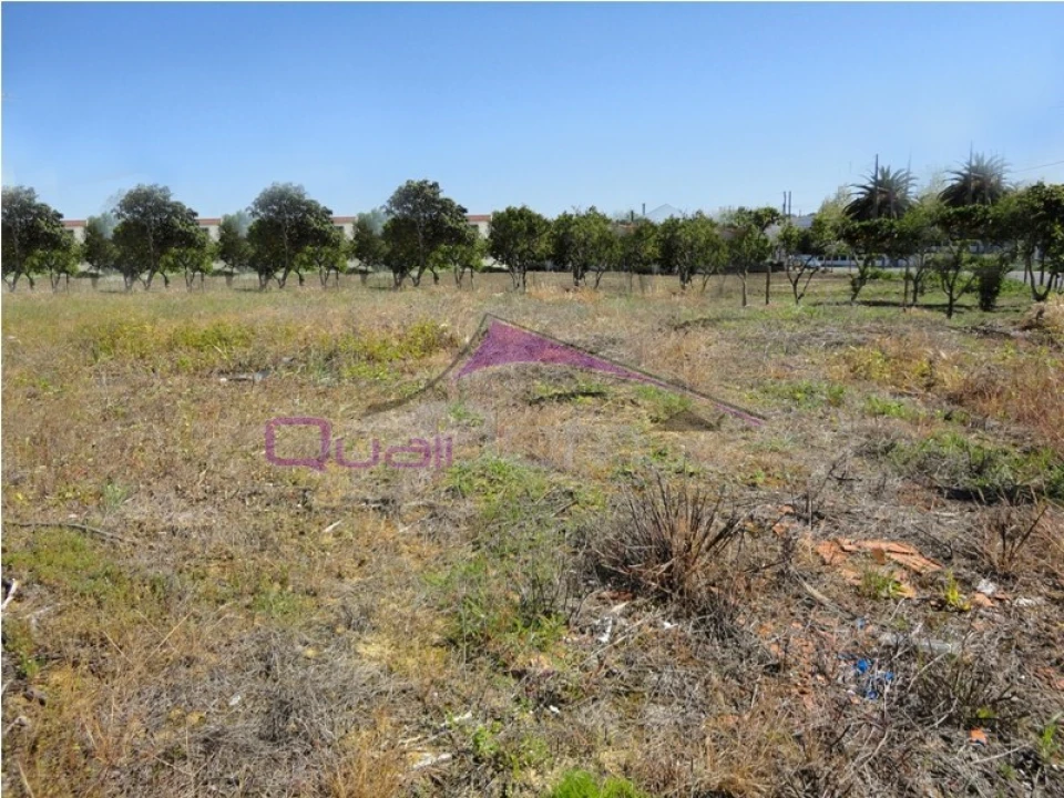 Terreno para Venda em Riachos Foto 1