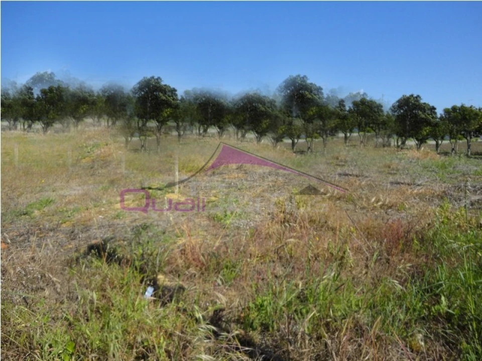 Terreno para Venda em Riachos Foto 2