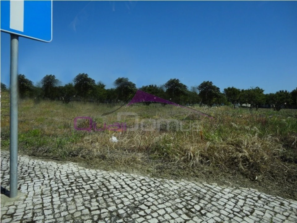 Terreno para Venda em Riachos Foto 3