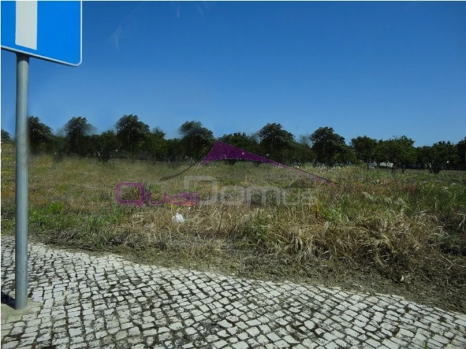 Terreno para Venda em Riachos Foto 3