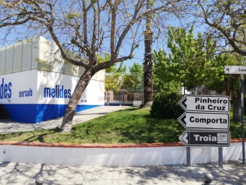 Terreno para Venda em Melides