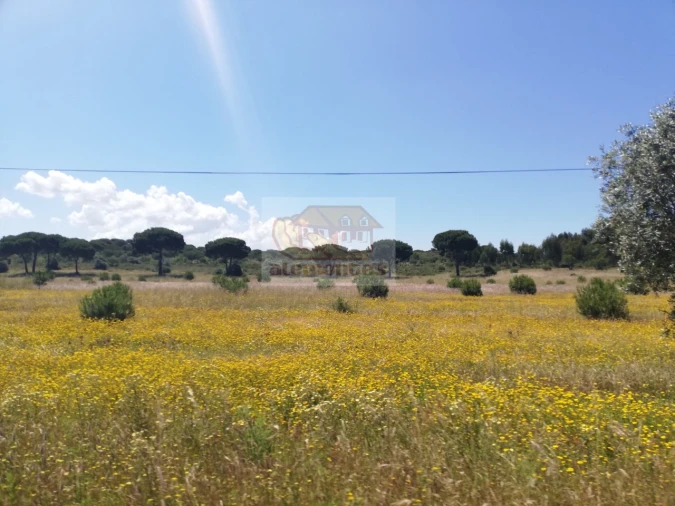 Terreno para Venda em Melides Foto 10