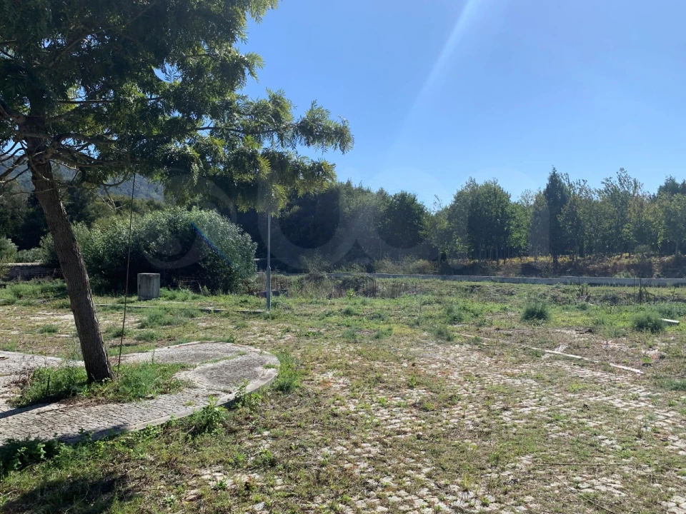 Terreno para Venda em Vila Praia de Ancora Foto 7