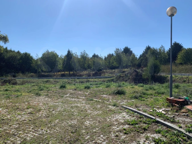 Terreno para Venda em Vila Praia de Ancora Foto 4