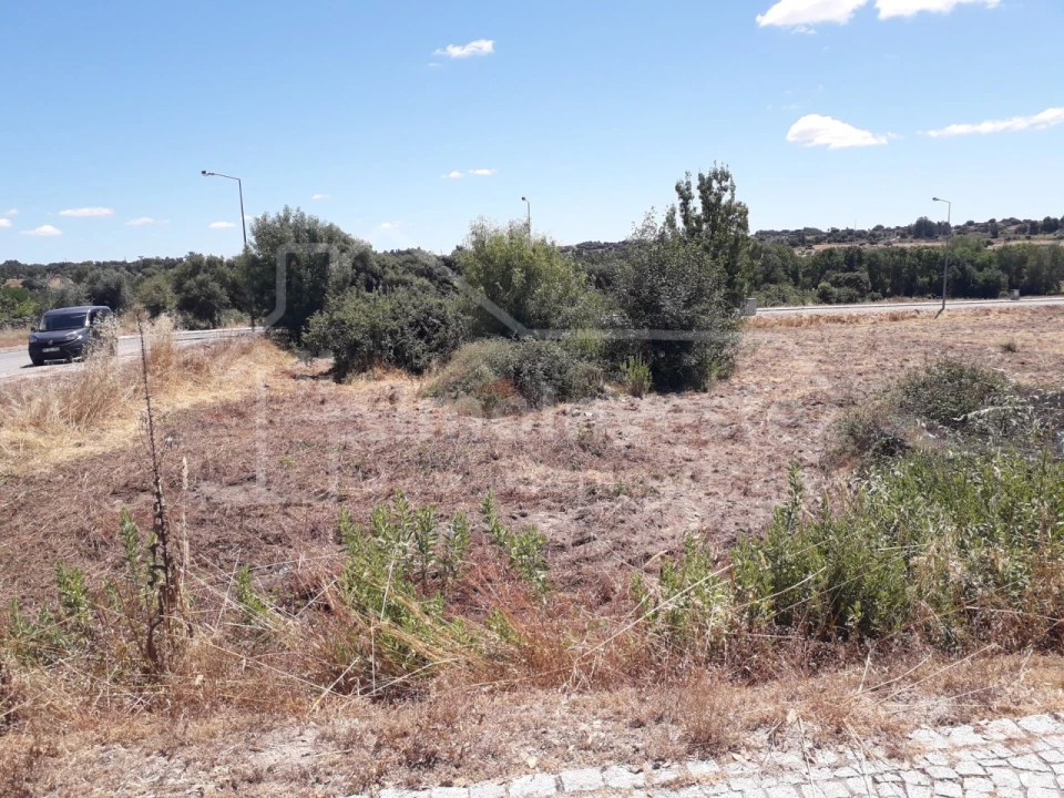 Terreno para Venda em Escalos de Cima e Lousa Foto 1