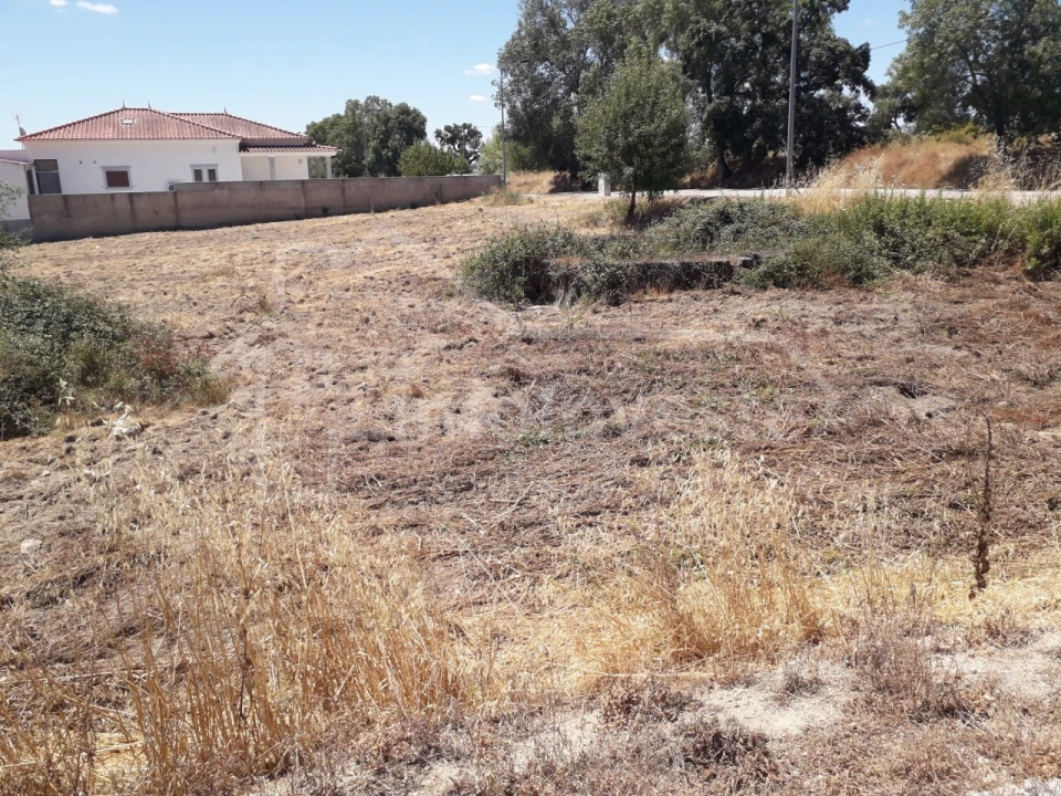Terreno para Venda em Escalos de Cima e Lousa Foto 3