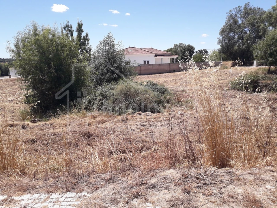 Terreno para Venda em Escalos de Cima e Lousa Foto 4