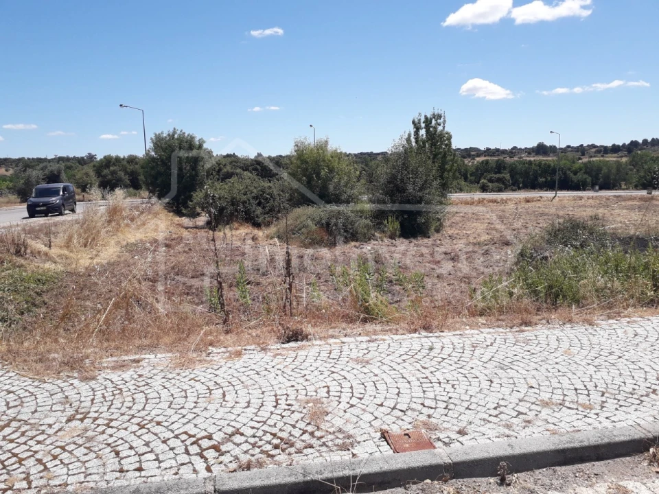Terreno para Venda em Escalos de Cima e Lousa Foto 5
