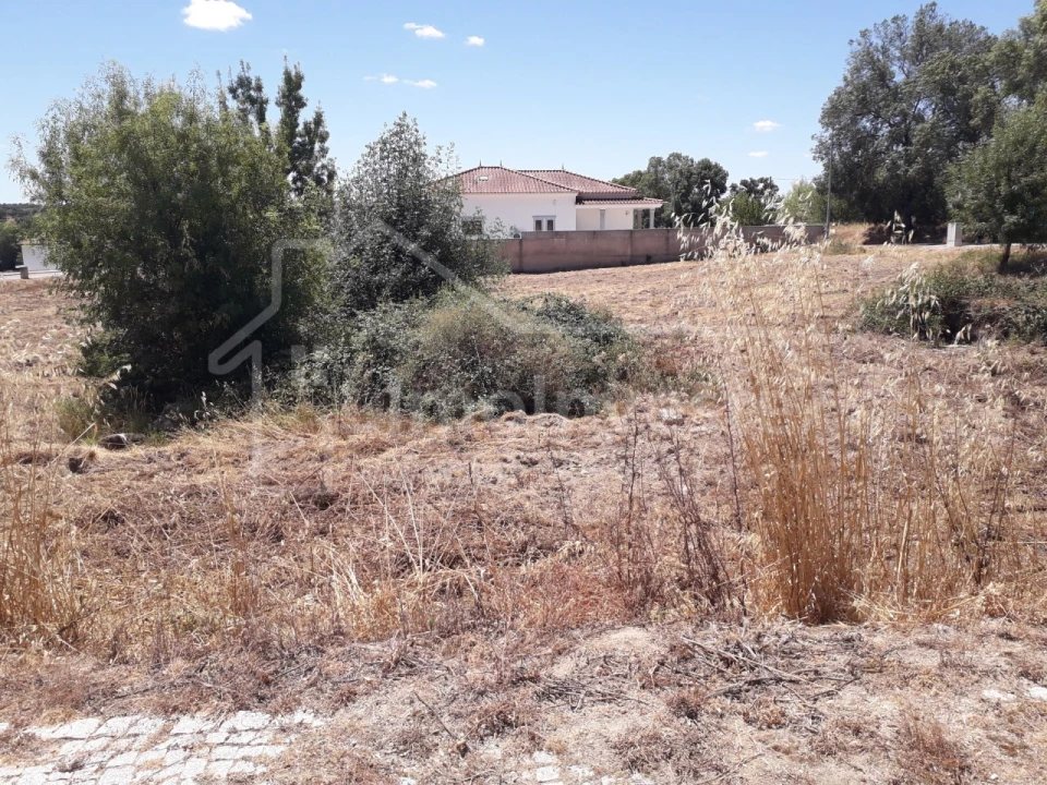 Terreno para Venda em Escalos de Cima e Lousa Foto 6