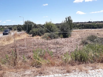 Terreno para Venda em Escalos de Cima e Lousa