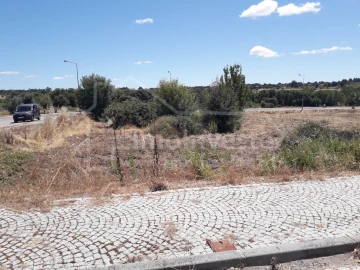 Terreno para Venda em Escalos de Cima e Lousa