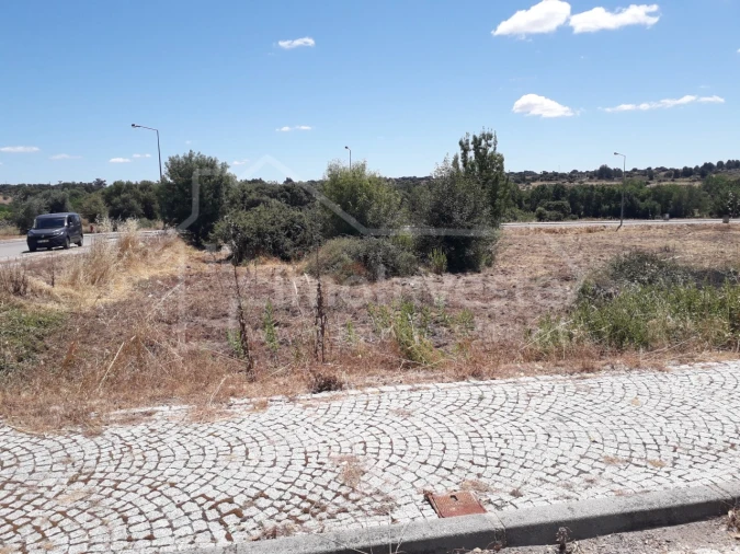 Terreno para Venda em Escalos de Cima e Lousa Foto 2