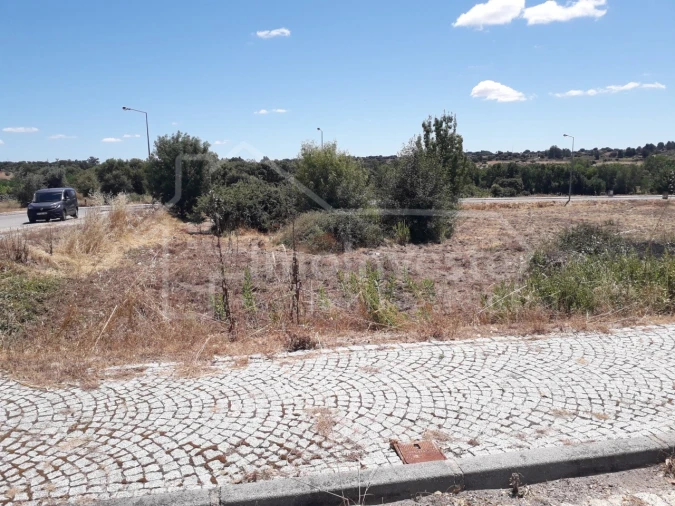 Terreno para Venda em Escalos de Cima e Lousa Foto 5