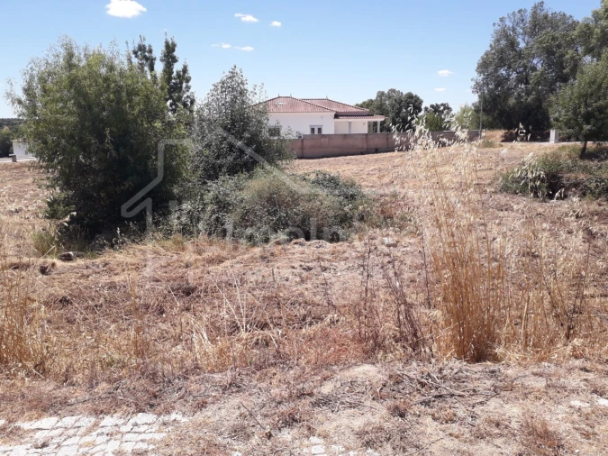 Terreno para Venda em Escalos de Cima e Lousa Foto 6