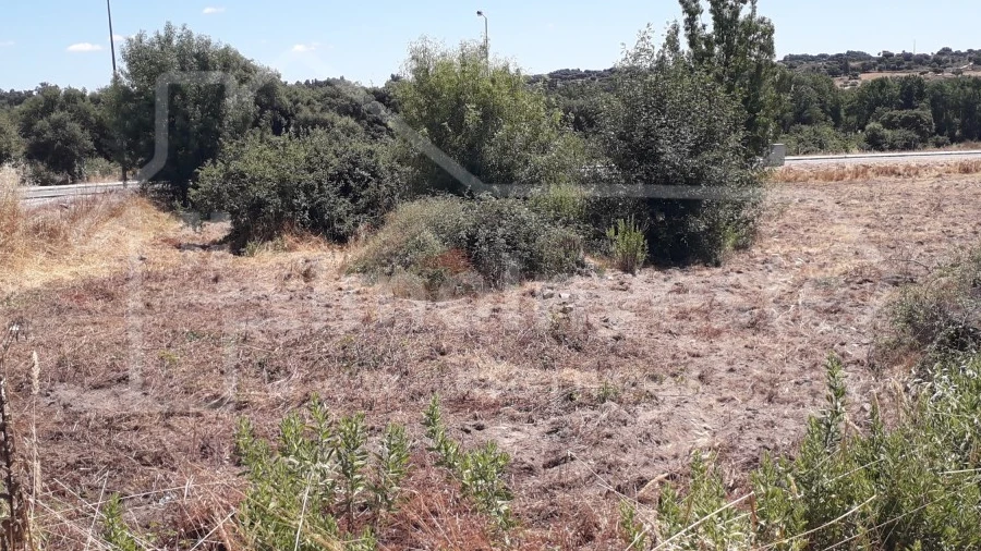 Terreno para Venda em Escalos de Cima e Lousa