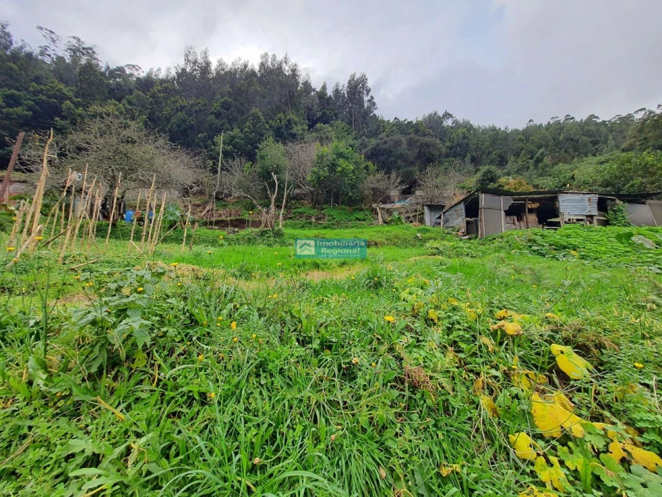 Terreno para Venda em Santo Antonio da Serra Foto 5