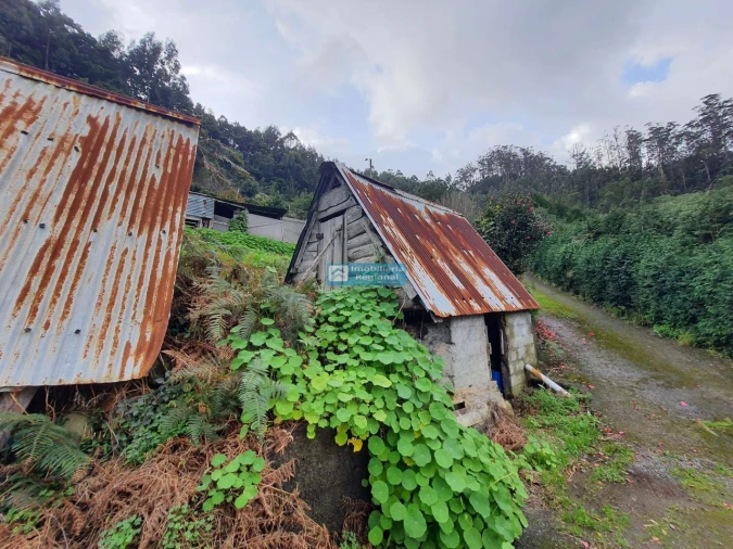 Terreno para Venda em Santo Antonio da Serra Foto 1
