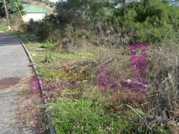Terreno para Venda em Eiras e São Paulo de Frades