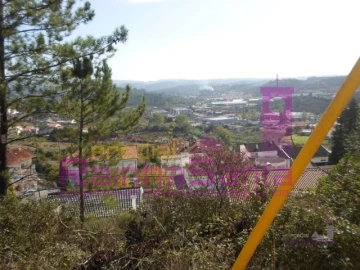 Terreno para Venda em Eiras e São Paulo de Frades