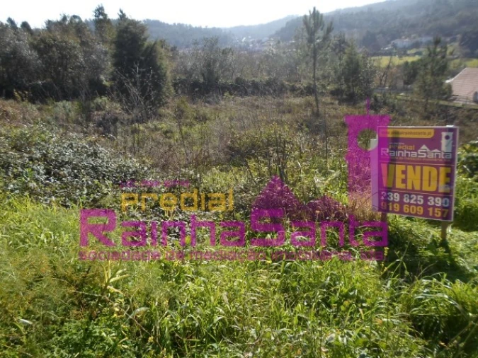 Terreno para Venda em Assafarge e Antanhol Foto 2