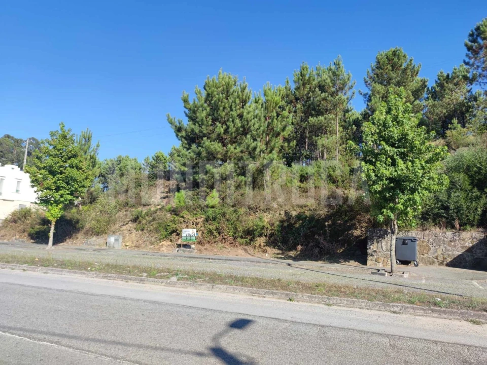 Terreno para Venda em Pousa Foto 8