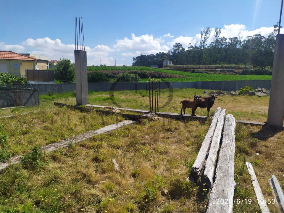 Terreno para Venda em Perafita, Lavra e Santa Cruz do Bispo Foto 4