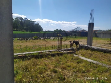 Terreno para Venda em Perafita, Lavra e Santa Cruz do Bispo