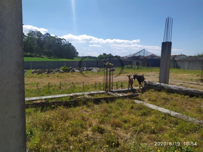 Terreno para Venda em Perafita, Lavra e Santa Cruz do Bispo Foto 5