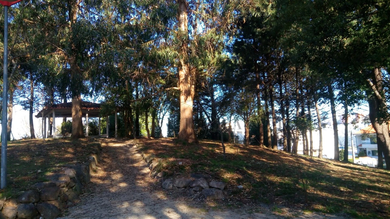 Terreno para Venda em Pedroso e Seixezelo Foto 8