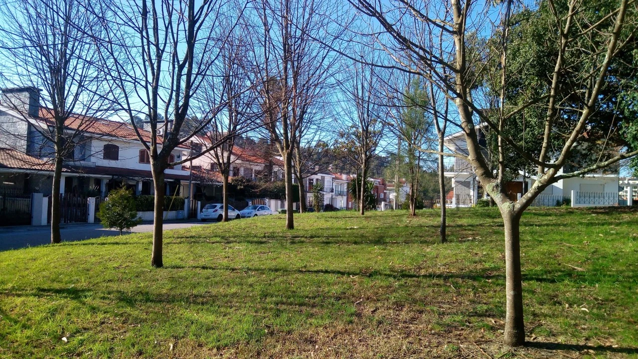Terreno para Venda em Pedroso e Seixezelo Foto 9