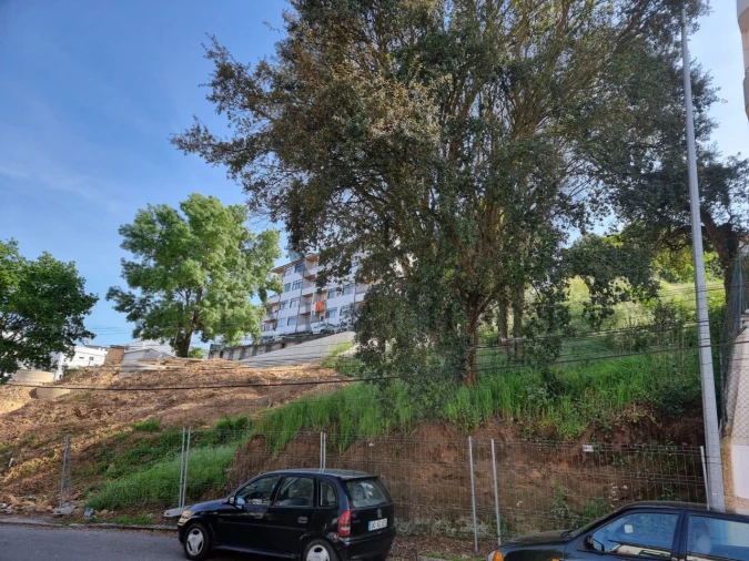 Terreno para Venda em Oliveira do Douro Foto 3