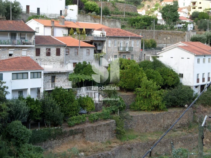 Terreno para Venda em Covas do Douro Foto 3