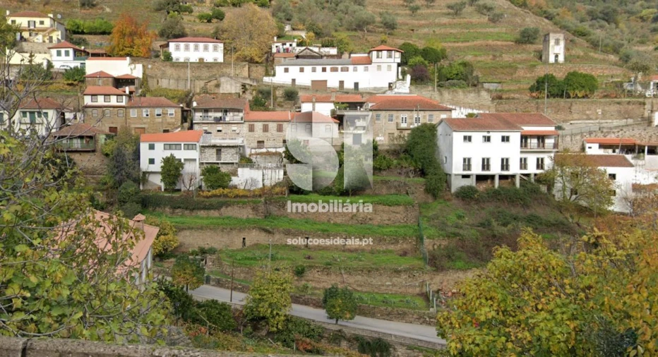 Terreno para Venda em Covas do Douro Foto 4