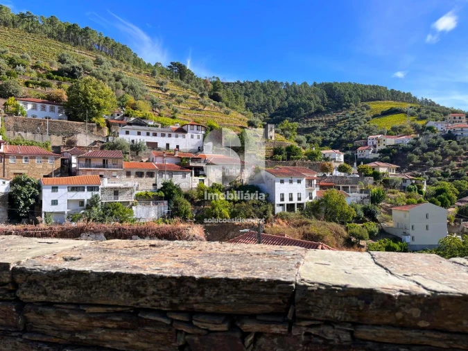 Terreno para Venda em Covas do Douro Foto 1