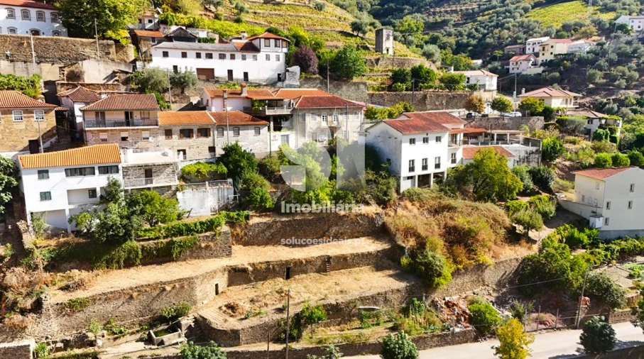 Terreno para Venda em Covas do Douro Foto 14