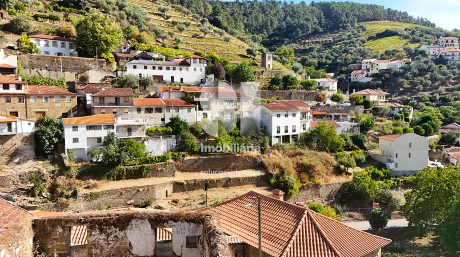 Terreno para Venda em Covas do Douro Foto 16