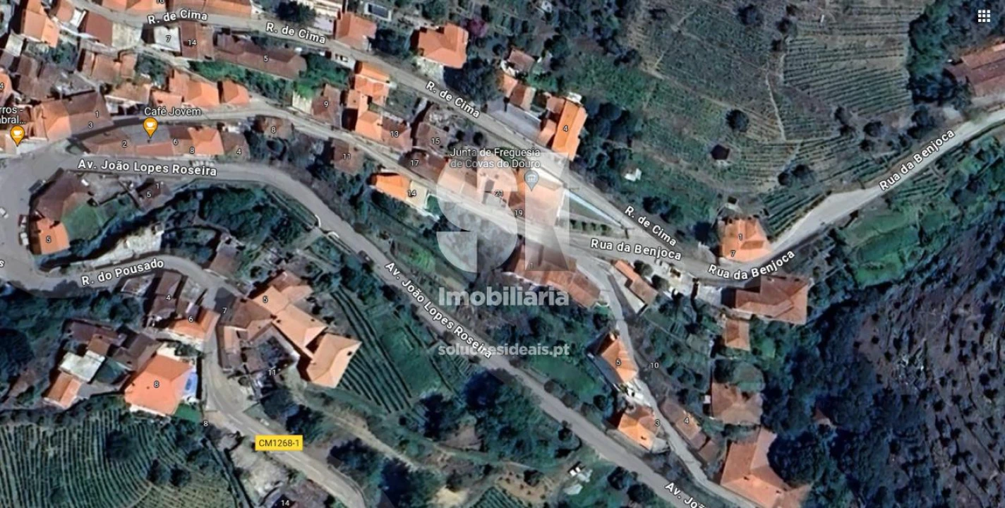 Terreno para Venda em Covas do Douro Foto 18