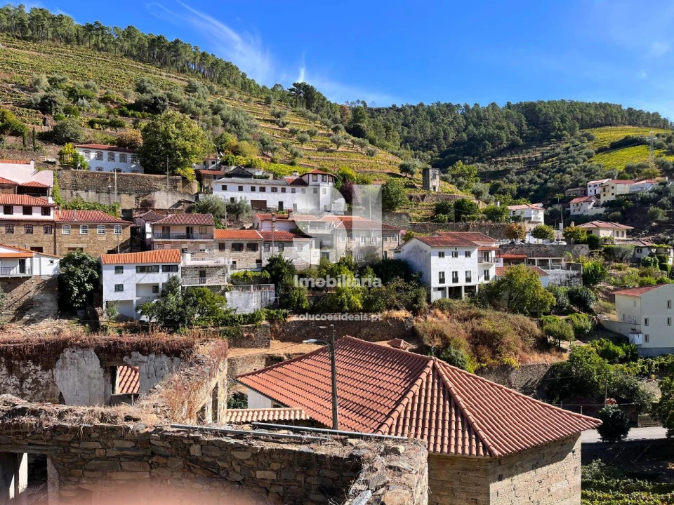 Terreno para Venda em Covas do Douro Foto 5