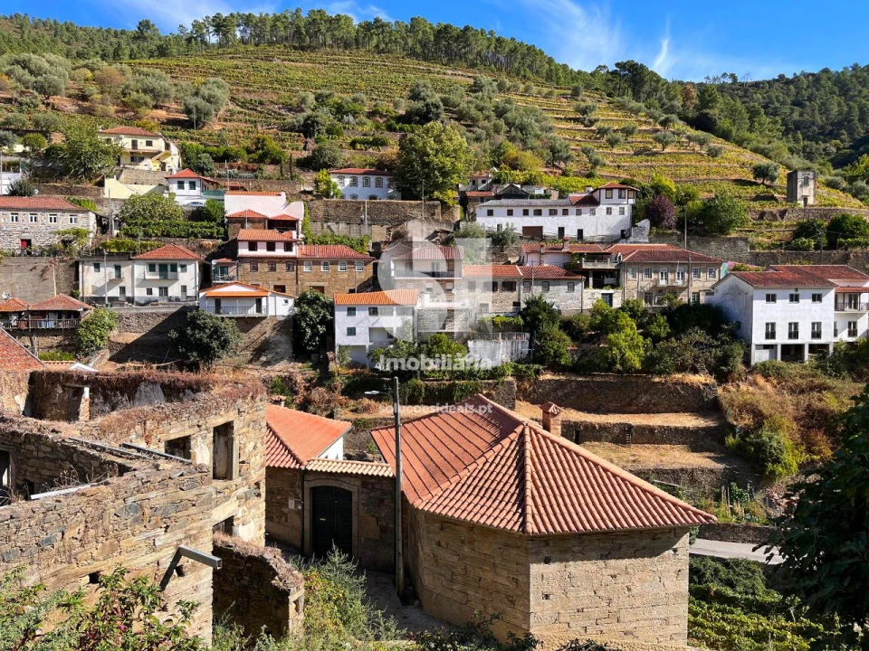 Terreno para Venda em Covas do Douro Foto 6