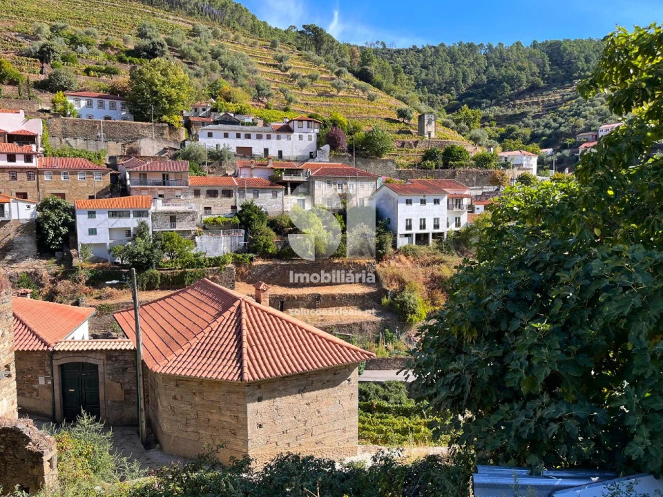 Terreno para Venda em Covas do Douro Foto 7