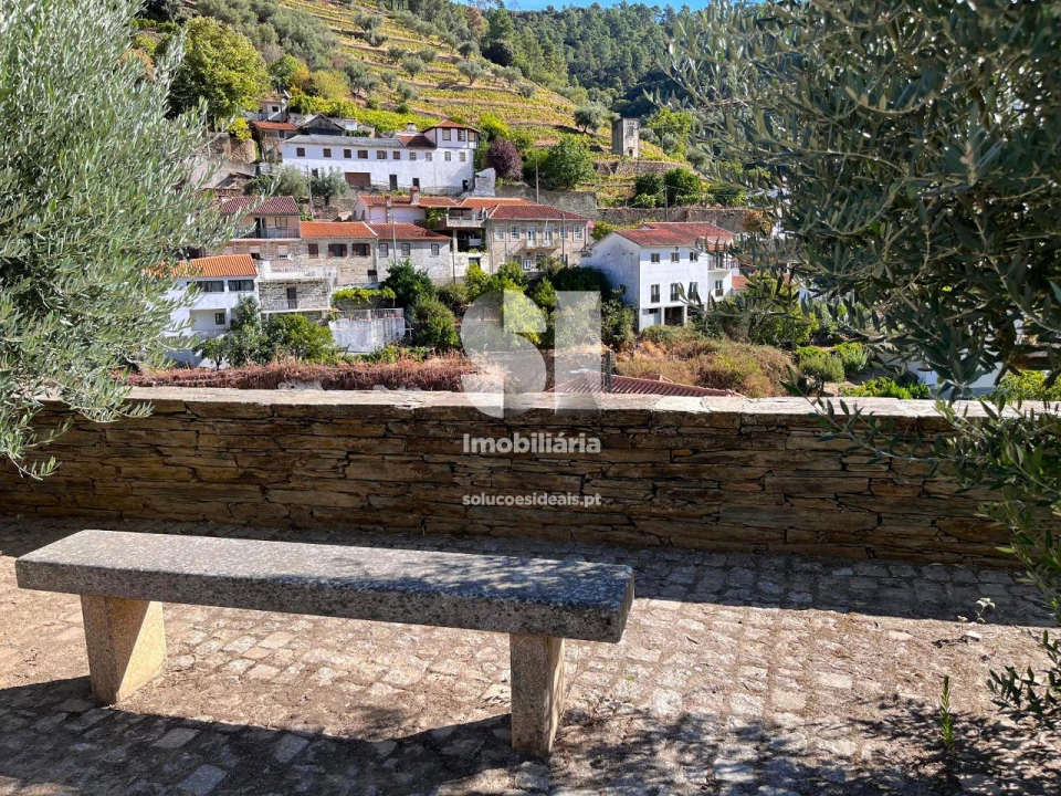 Terreno para Venda em Covas do Douro Foto 8
