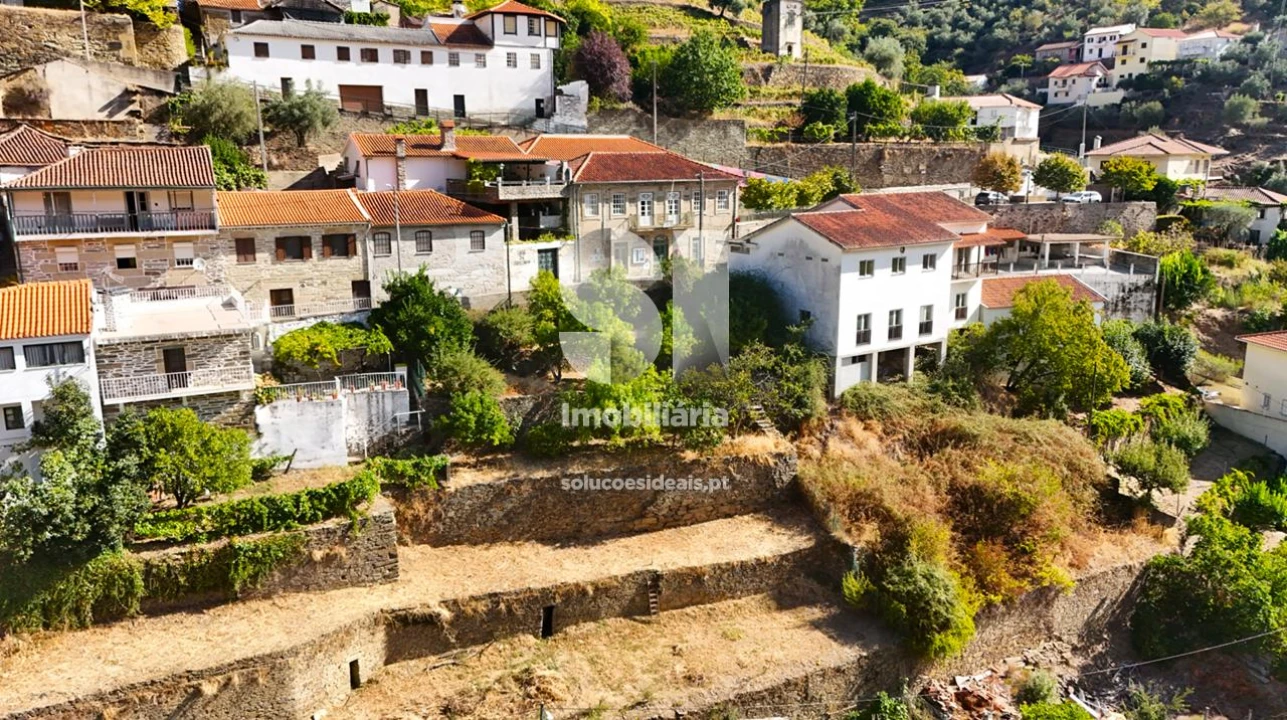 Terreno para Venda em Covas do Douro Foto 15
