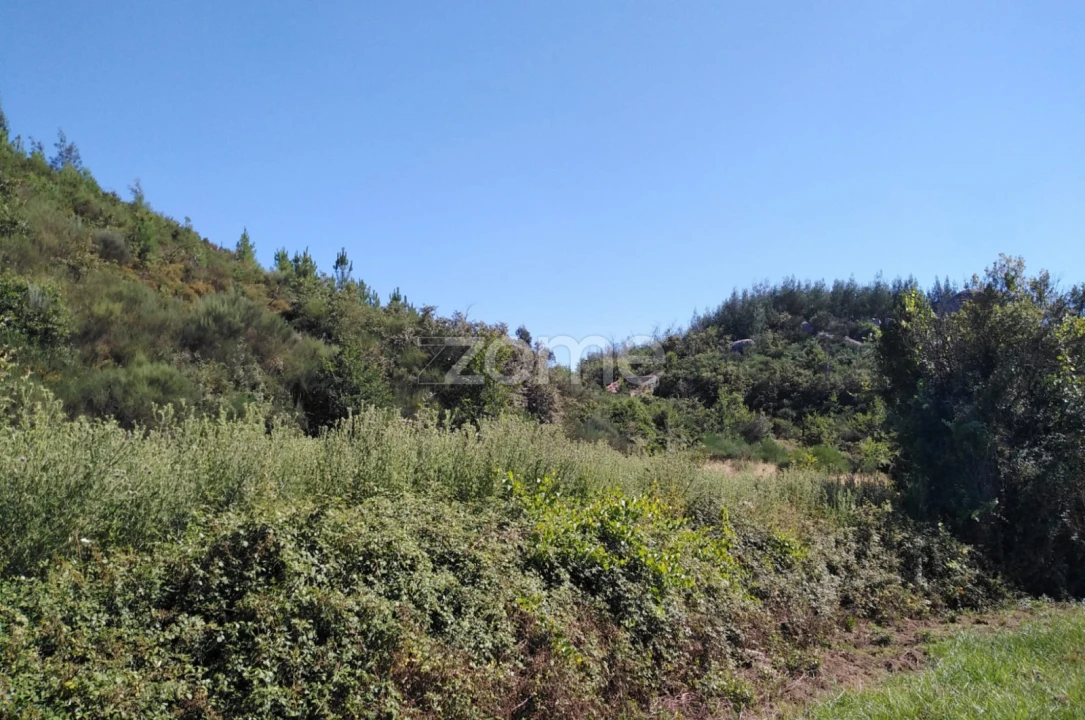 Terreno para Venda em Sameice e Santa Eulália Foto 11