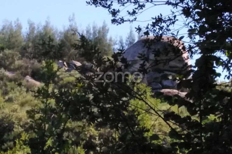 Terreno para Venda em Sameice e Santa Eulália Foto 4